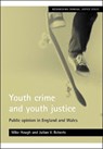 Youth crime and youth justice - Mike (Birkbeck Hough ; Julian V. (Department of Criminology Roberts - 9781861346490