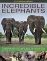 Exploring Nature: Incredible Elephants - Barbara Taylor - 9781861473288