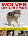 Exploring Nature: Wolves - Life in the Wild - Dr Jen Green - 9781861473950