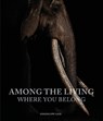 Among the Living - Guadalupe Laiz - 9781864709650