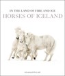In the Land of Fire and Ice - Guadalupe Laiz - 9781875498420