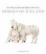 In the Land of Fire and Ice - Guadalupe Laiz - 9781875498420
