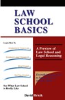 Law School Basics - Professor David (Mercer University Law School) Hricik - 9781889057064