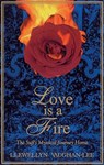 Love Is a Fire: The Sufi's Mystical Journey Home - Llewellyn Vaughan-Lee - 9781890350031