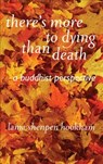 There's More to Dying Than Death: A Buddhist Perspective - Lama Shenpen Hookman - 9781899579686