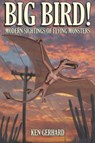 Big Bird! - Ken Gerhard - 9781905723089