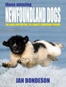 Those Amazing Newfoundland Dogs - Jan (Professor Bondeson - 9781905723966