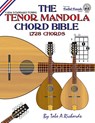 The Tenor Mandola Chord Bible: CGDA Standard Tuning 1,728 Chords - Tobe A. Richards - 9781906207243
