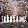 Return to Fukushima - Rebecca Bathory - 9781908211484