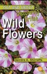 Discovering British Wild Flowers - Deirdre A. Shirreffs - 9781908241634