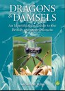 Dragons and Damsels - RILEY,  Adrian - 9781908241641