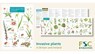 Guide to the non-native invasive plants of Britain and Ireland - Rebecca Farley-Brown - 9781908819499