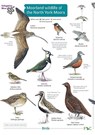 Moorland wildlife of the North York Moors - Field Studies Council - 9781908819598