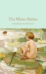 The Water-Babies - Charles Kingsley - 9781909621404