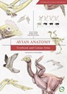 Avian Anatomy 2nd Edition - Horst Erich Konig - 9781910455609