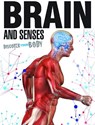 Brain and Senses - Jen Green - 9781910512050