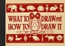 What to Draw and How to Draw It - E G Lutz - 9781910552032