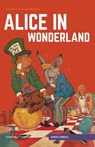 Alice in Wonderland - Lewis Carroll - 9781910619810