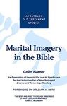 Marital Imagery in the Bible - HAMER,  Colin - 9781910942284