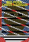 Big Pool - Chris Harnan - 9781911081333