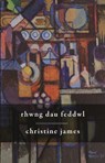 Rhwng Dau Feddwl - Christine James - 9781911584872