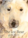The Ice Bear - Jackie Morris - 9781912050468