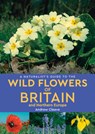 A Naturalist's Guide to the Wild Flowers of Britain and Northern Europe (2nd edition) - Andrew Cleave - 9781912081141