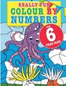 Really Fun Colour By Numbers For 6 Year Olds - Mickey MacIntyre - 9781912155132