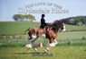 For Love of the Clydesdale Horse - Heidi M. Sands - 9781912158140
