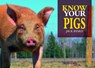 Know Your Pigs - Jack Byard - 9781912158546