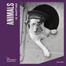 Animals in Wartime - Imperial War Museums ; Simon Offord - 9781912423446