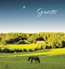 GUEST BOOK for Guest House, Airbnb, Bed & Breakfast, Vacation Home, Retreat Centre - Angelis Publications - 9781912484188