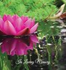 Funeral Guest Book, In Loving Memory, Memorial Guest Book, Condolence Book, Remembrance Book for Funerals or Wake - ANGELI PUBLICATIONS - 9781912484317
