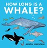 How Long Is a Whale? - Alison Limentani - 9781912757855