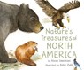Nature's Treasures of North America - Alison Limentani - 9781912757978