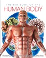 The Big Book of the Human body - Katherine Marsh - 9781912918744
