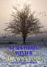 Blackthorn Winter - Liz Williams - 9781912950799