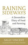 Raining Sideways - Sally Vincent - 9781913062941