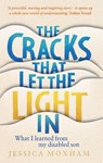 The Cracks that Let the Light In - Jessica Moxham - 9781913068349