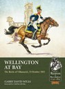 Wellington at Bay - Garry David Wills - 9781913118952