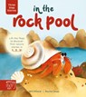 Three Step Stories: In the Rock Pool - Will Millard - 9781913520694