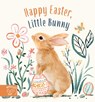 Happy Easter Little Bunny - Amanda Wood - 9781913520953