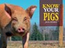 Know Your Pigs - Jack Byard - 9781913618056