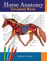 Horse Anatomy - Anatomy Academy - 9781914207068