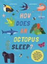 How Does An Octopus Sleep? - Martin Iannuzzi ; Octavio Pintos - 9781914519086