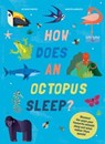 How Does An Octopus Sleep? - Martin Iannuzzi ; Octavio Pintos - 9781914519093