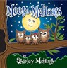 Meet the McHoots - Shirley McHugh - 9781914933028
