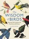 The Wisdom of Birds - Alison Davies - 9781915751140