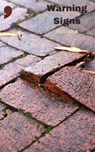 Warning Signs - Bidisha - 9781917093033