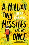 A Million Tiny Missiles All At Once - Lucas Maxwell - 9781917171397
